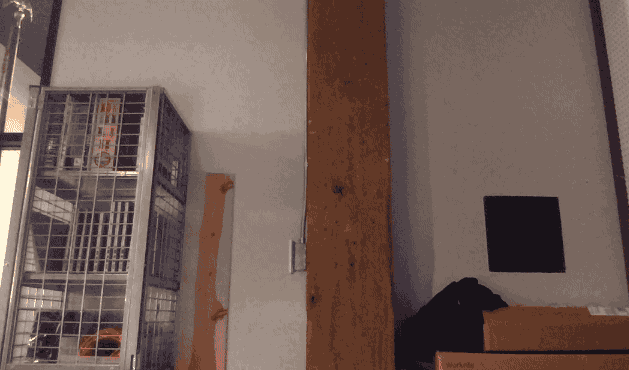 robot-walk