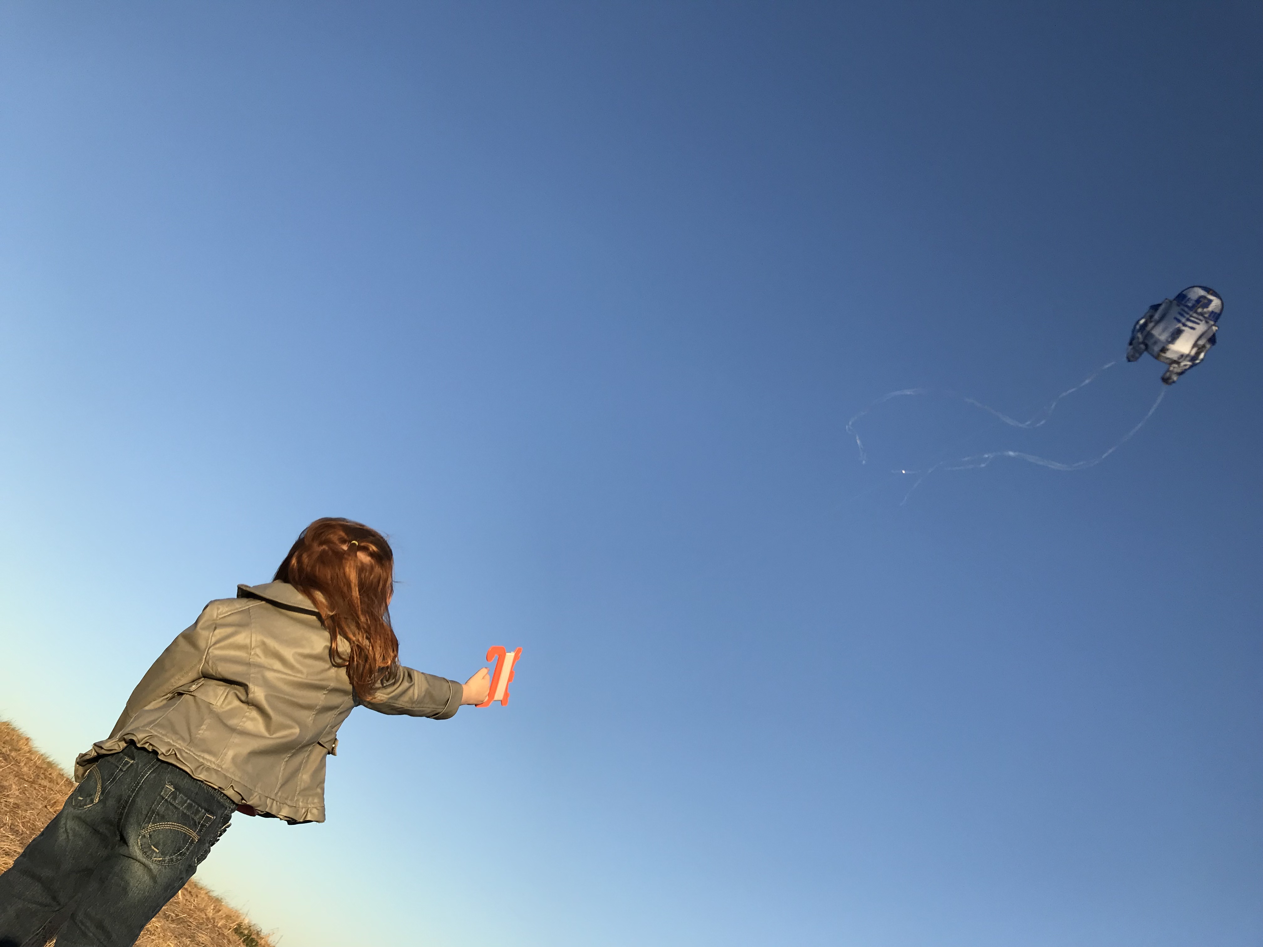 kite